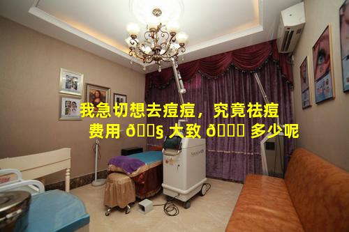 我急切想去痘痘，究竟祛痘费用 🐧 大致 🐅 多少呢